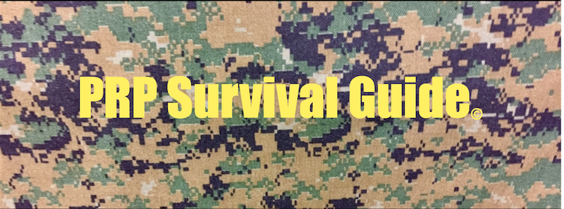 Pixelated camouflage background with yellow text that says “PRP Survival Guide”